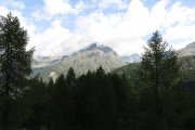 IMG_0017