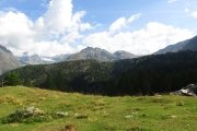 IMG_0024