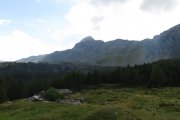 IMG_0031