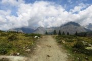 IMG_0035