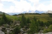 IMG_0040