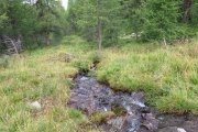 IMG_0049
