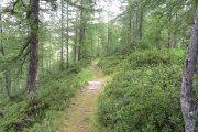 IMG_0052
