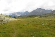 IMG_0079