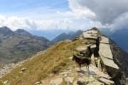 IMG_0151