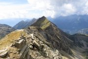 IMG_0201