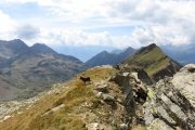 IMG_0230