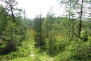 IMG_0294