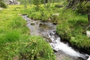 IMG_0306