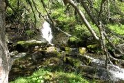 IMG_0308