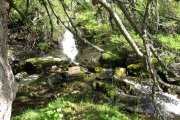 IMG_0310