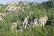 IMG_0316