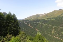 IMG_0002