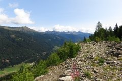 IMG_0004