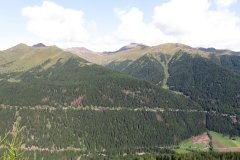 IMG_0006