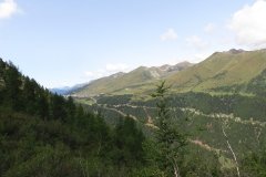 IMG_0008