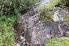 IMG_0011