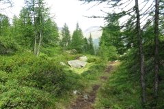 IMG_0018