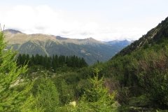 IMG_0024