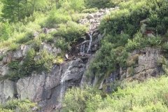 IMG_0029