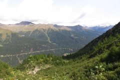 IMG_0033