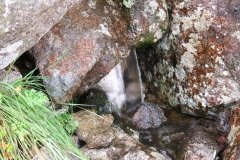 IMG_0037