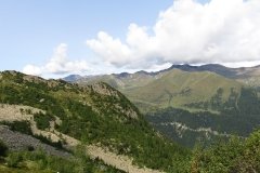 IMG_0040