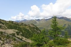 IMG_0042