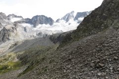 IMG_0136