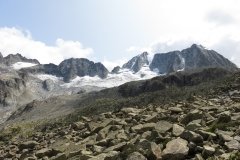 IMG_0161
