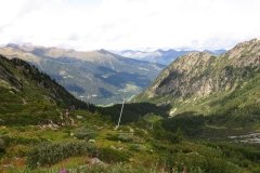 IMG_0194