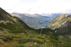 IMG_0205