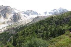 IMG_0209