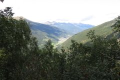 IMG_0240