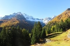 IMG_0010