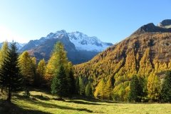 IMG_0013