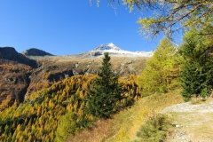 IMG_0016