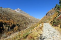 IMG_0033