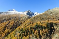 IMG_0035