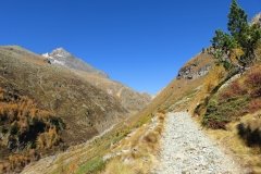 IMG_0037