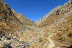 IMG_0050