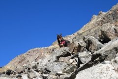 IMG_0077