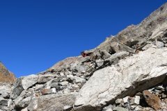 IMG_0081