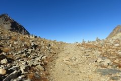 IMG_0100
