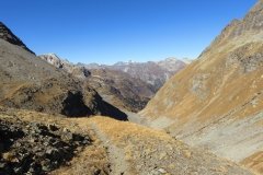 IMG_0119