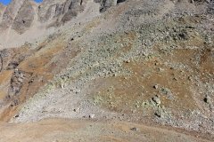 IMG_0142