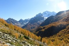 IMG_0204