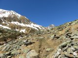 IMG_0064