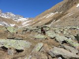 IMG_0084