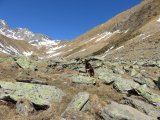 IMG_0088